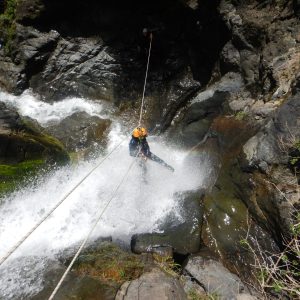 Canyon Gobert Canyon Gobert