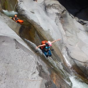 Canyon Fleur Jaune Integral Canyon Fleur Jaune Integral